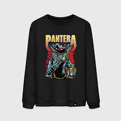 Мужской свитшот Pantera