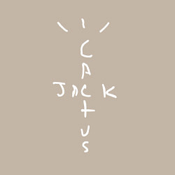 Свитшот хлопковый мужской CACTUS JACK, цвет: миндальный — фото 2