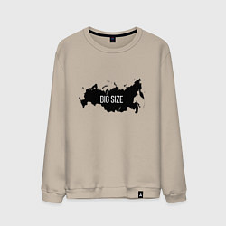 Свитшот хлопковый мужской Big size, цвет: миндальный