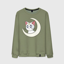 Мужской свитшот Artemis