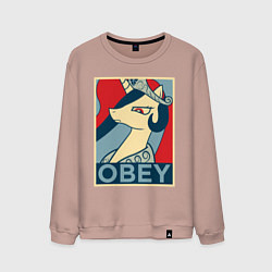 Мужской свитшот Trixie OBEY