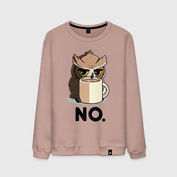 Мужской свитшот Сова с кофе