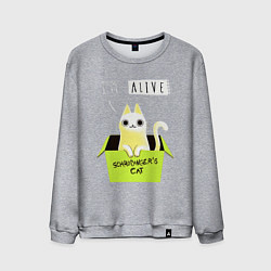 Свитшот хлопковый мужской Кот спереди жив, а сзади, цвет: меланж