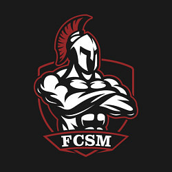 Свитшот хлопковый мужской FCSM, цвет: черный — фото 2
