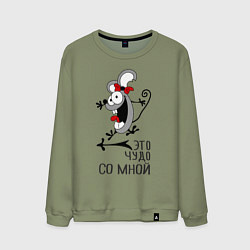 Мужской свитшот Крэзи