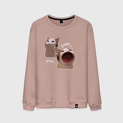 Мужской свитшот Cat Pop - Мем