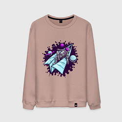 Мужской свитшот Астронавт на самолетике