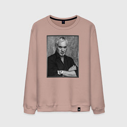 Свитшот хлопковый мужской Валерий Меладзе, цвет: пыльно-розовый
