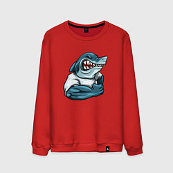 Свитшот хлопковый мужской SHARK POWER, цвет: красный