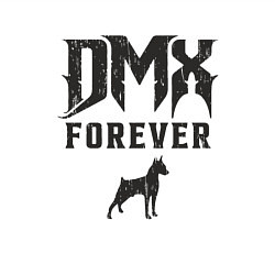 Свитшот хлопковый мужской DMX Forever, цвет: белый — фото 2