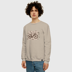 Свитшот хлопковый мужской Схема Анатомия Велосипеда, цвет: миндальный — фото 2