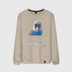 Мужской свитшот Чего смотришь!?