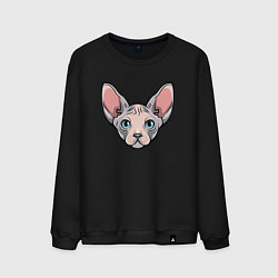 Мужской свитшот Сфинкс