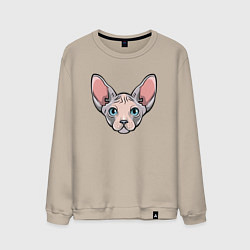 Мужской свитшот Сфинкс