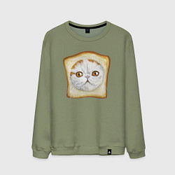 Свитшот хлопковый мужской Bread Cat, цвет: авокадо