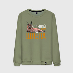 Свитшот хлопковый мужской Большой кот Шлёпа, цвет: авокадо