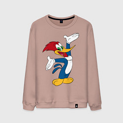 Мужской свитшот Дятел Вуди позирует