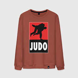 Свитшот хлопковый мужской Judo, цвет: кирпичный