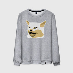 Мужской свитшот Кот Смадж Мем