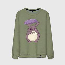 Мужской свитшот Кавайный Тоторо с зонтиком