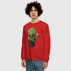 Свитшот хлопковый мужской Смертельный кактус, цвет: красный — фото 2