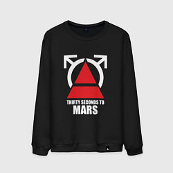 Свитшот хлопковый мужской 30 Seconds To Mars Logo, цвет: черный