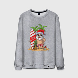 Свитшот хлопковый мужской Santa on Vibe, цвет: меланж