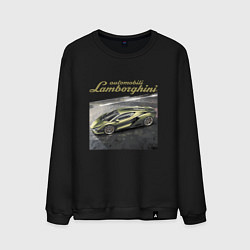 Свитшот хлопковый мужской Lamborghini Motorsport sketch, цвет: черный