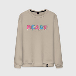 Мужской свитшот Mr Beast - Art 1