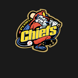 Свитшот хлопковый мужской Peoria Chiefs - baseball team, цвет: черный — фото 2