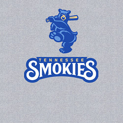 Свитшот хлопковый мужской Tennessee smokies - baseball team, цвет: меланж — фото 2