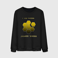 Свитшот хлопковый мужской I am Webb, цвет: черный