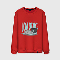 Свитшот хлопковый мужской Загрузка Кот программист, цвет: красный