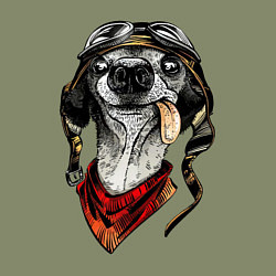Свитшот хлопковый мужской Biker dog, цвет: авокадо — фото 2