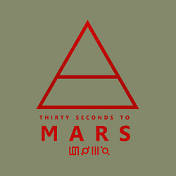 Свитшот хлопковый мужской 30 Seconds to Mars рок, цвет: авокадо — фото 2