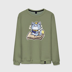 Свитшот хлопковый мужской The Magical Cat Yuumi, цвет: авокадо