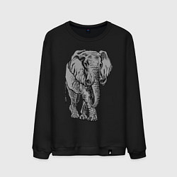 Свитшот хлопковый мужской Огромный могучий слон, цвет: черный