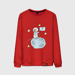 Мужской свитшот Мышь-космонавт