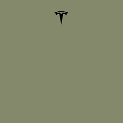 Свитшот хлопковый мужской TESLA BLACK LOGO МИНИМАЛИЗМ, цвет: авокадо — фото 2