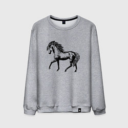 Свитшот хлопковый мужской Мустанг Лошадь, цвет: меланж