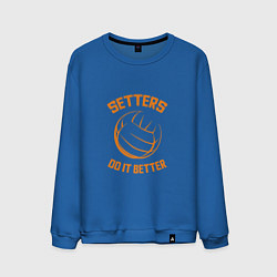 Свитшот хлопковый мужской Setters Do It Better, цвет: синий