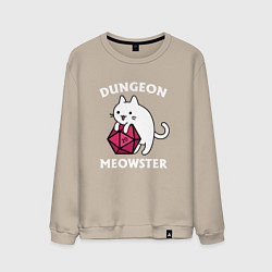 Мужской свитшот Dungeon Meowster
