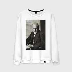 Мужской свитшот Casual freud