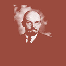 Свитшот хлопковый мужской Владимир Ленин, цвет: кирпичный — фото 2
