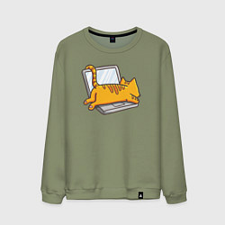 Мужской свитшот Котик лежит на ноутбуке