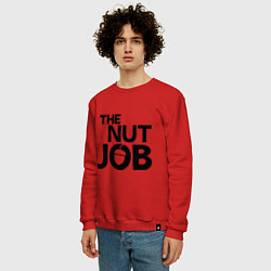 Свитшот хлопковый мужской The nut job, цвет: красный — фото 2