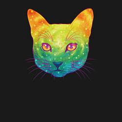 Свитшот хлопковый мужской Радужный котик rainbow cat, цвет: черный — фото 2