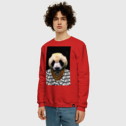 Свитшот хлопковый мужской Panda Look 2, цвет: красный — фото 2