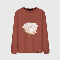 Свитшот хлопковый мужской Акварельная роза, цвет: кирпичный