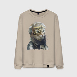 Мужской свитшот Кот - пилот The pilot Cat